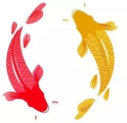 五大镇宅旺主的灵性宠物,想家运旺,就必须看看