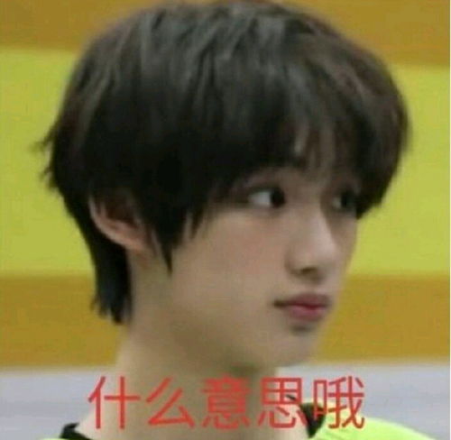 tnt全员沙雕表情包合集