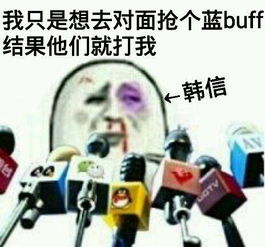 很搞笑的表情包王者荣耀