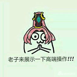 王者荣耀斗图表情包第二十一期可以这很韩信