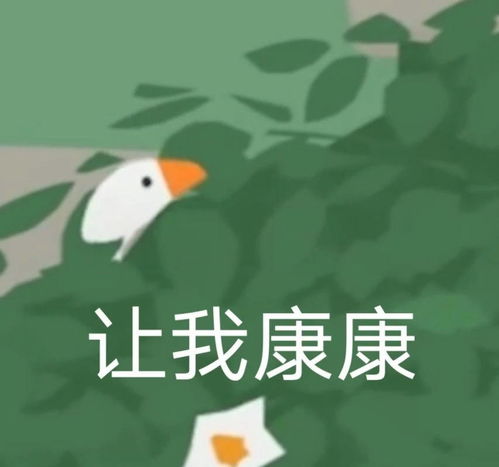 图片表情包搞笑捣蛋