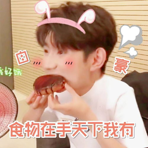 饭制源哥表情包吃货丸圆可可爱爱甜蜜蜜