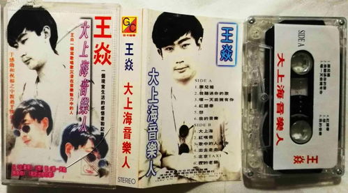 我静静地躺在床上,看着窗外不太圆的月亮,28年前的歌又红了
