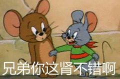 您的健康,肾过一切