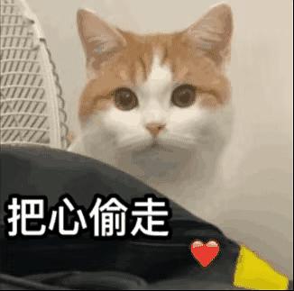 这还不如素人吧