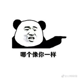 国庆出门,梁静茹给的勇气都不够用了