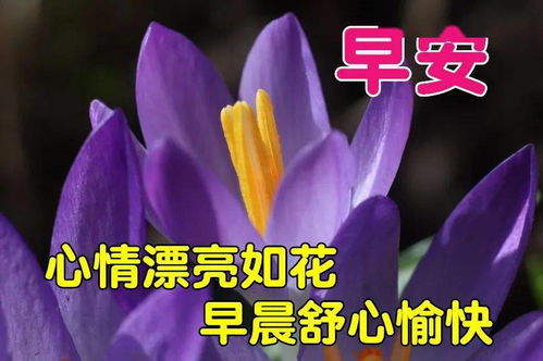 2020早上好快乐好心情祝福语,早上好快乐表情图片带字动态美图