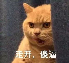 大师,帮我算一下姻缘