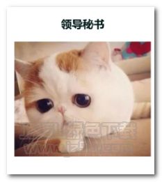 公司各部门领导表情图片公司各部门领导表情包完整版jz5u绿色下载站