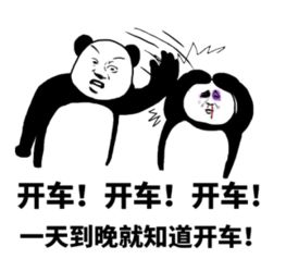 网易汽车
