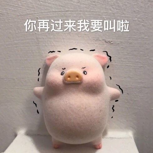 可爱的猪猪表情包腾讯新闻