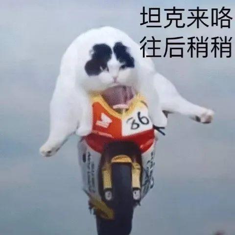 沙雕搞笑表情包杠精