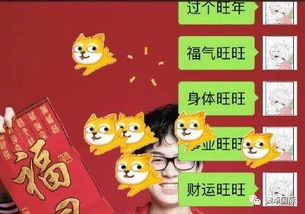 2018新年搞笑表情包旺旺