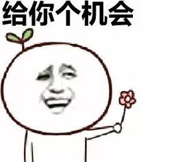 搞笑可爱的表情包深圳积分入户