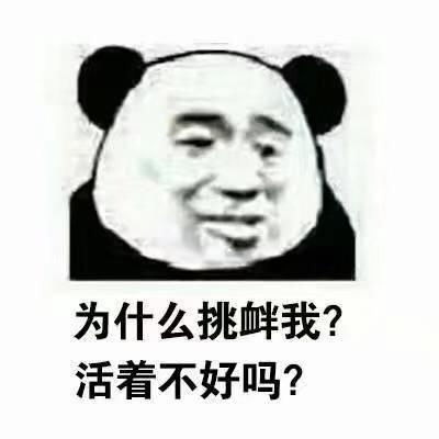 斗图怼人专用表情包为什么挑衅我,活着不好吗