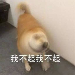 抖音我不听我不信我不睡我不在表情包抖音我不系列表情包经典搞笑