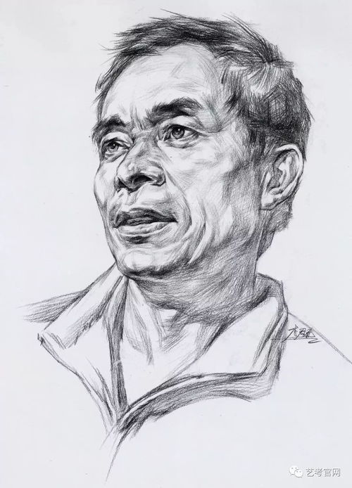 从静物到青年中年老年男女头像,高清素描结构图
