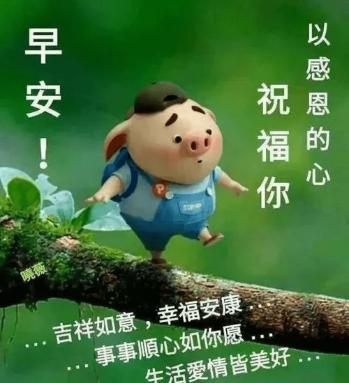 新的一天,新期待,美好生活常伴您,早晨好