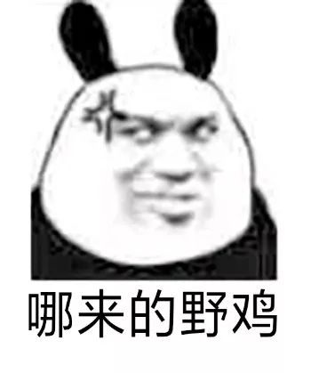 幽默搞笑表情包和我在一起吧,起码我比别人多十几斤肉爱你们