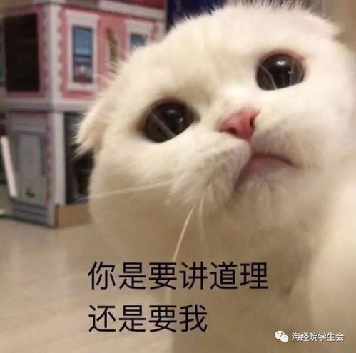 中秋特辑中秋佳节,与你共度景点推荐