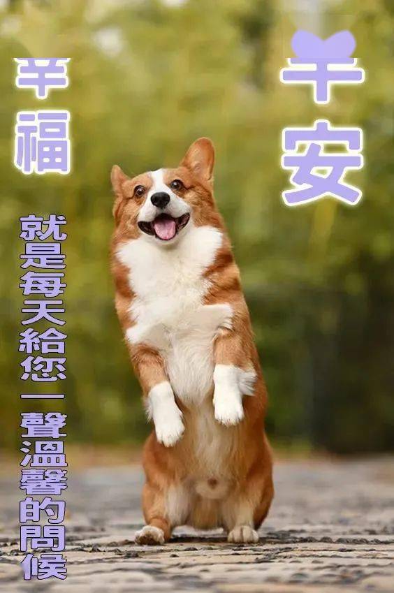 7月18日最漂亮早上好动态表情图片大全,早上好动图美图大全