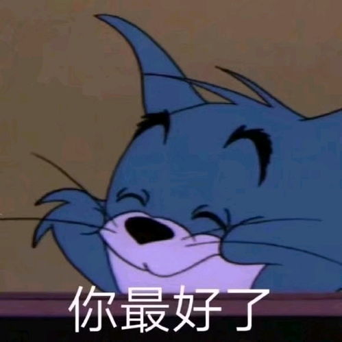 聊天专属表情包26
