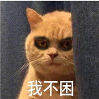 黑眼圈猫咪表情可爱带字超萌的黑眼圈猫咪表情包