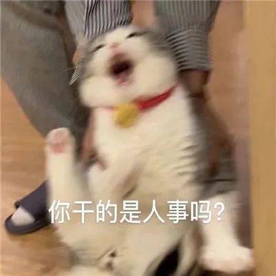 沙雕搞笑表情包你比冬天提前来了很幸运