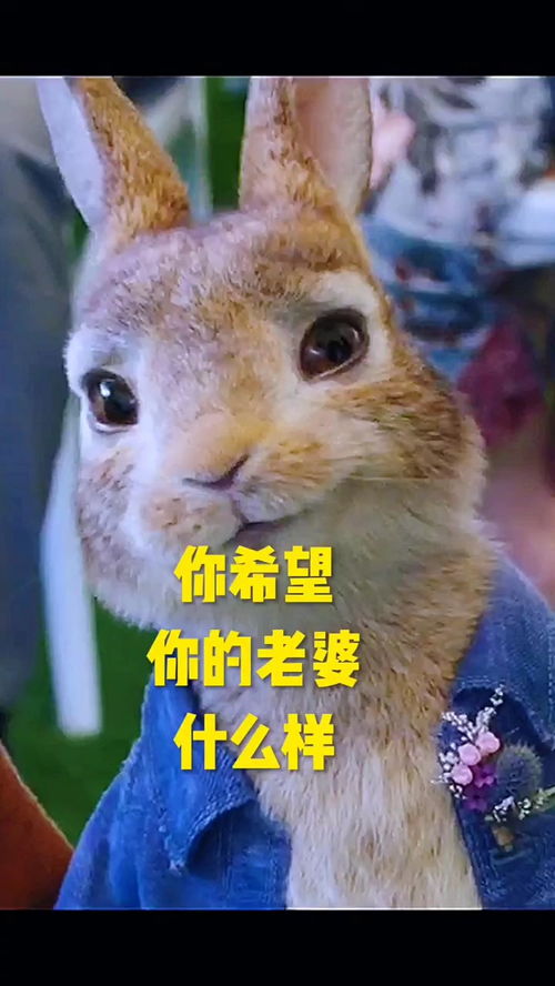 你的那个姑娘还在你的身边吗情感情感祝老铁们开心快乐每一天兔兔动漫