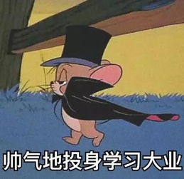 开学第一天大降温,雷电黄色预警又双叒来了嘉定本周都是雨雨雨