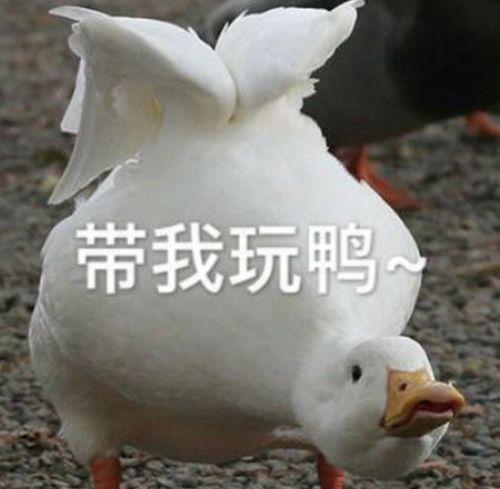 沙雕表情包本帅哥并不想理你