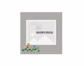 简约文艺小花装饰相框抱枕方形个性抱枕微信