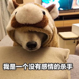 好玩的表情保持微笑