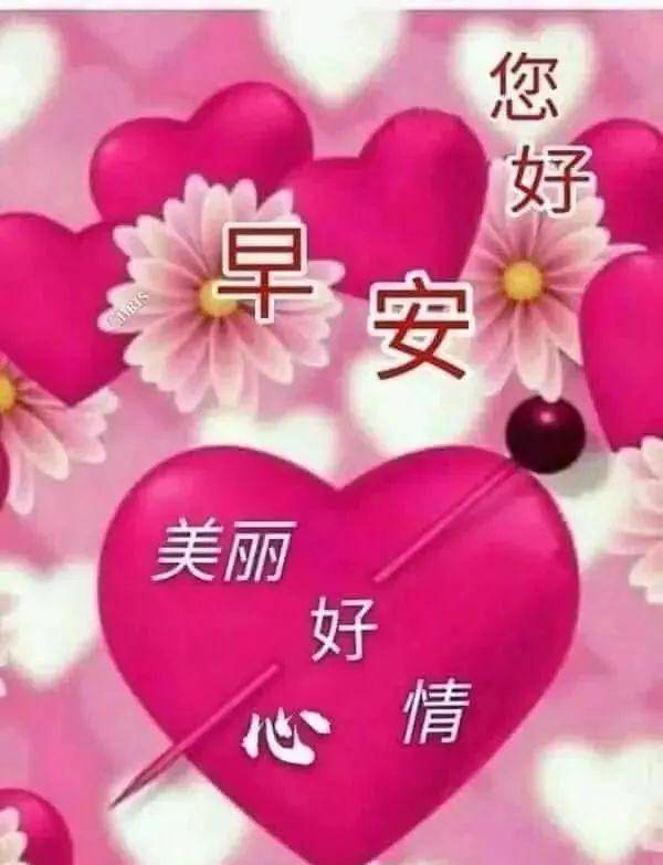 最新版早上好的温馨祝福短信微信朋友圈最美早上好问候语图片