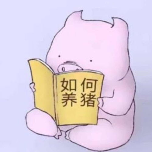 如何评价柳州螺蛳粉里的酸笋