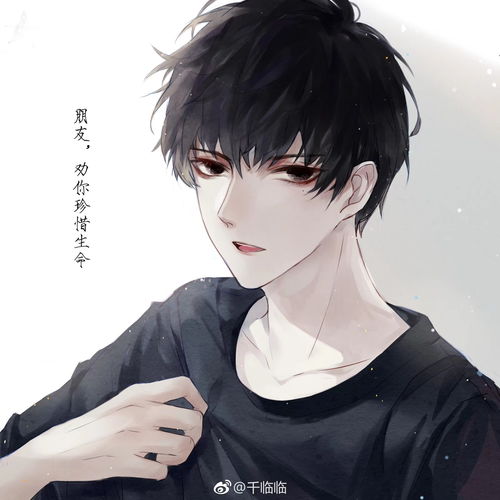 .堆糖,美图壁纸兴趣社区