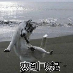 总额100万消费券又来了今天1500开抢