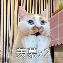 搞笑表情包请你离开我的互联网世界