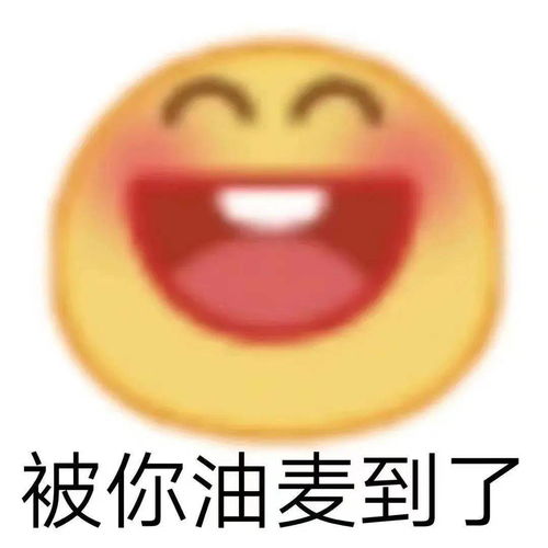 当歪果仁学会了东北话果然宇宙的尽头是铁岭