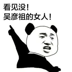 超搞笑表情爆笑