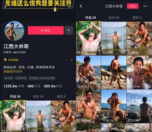 短视频周榜张一鸣发全员信同步tiktok进展抖音最高涨粉415万