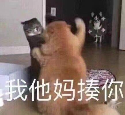 表情包搞笑可爱小老弟们让一让