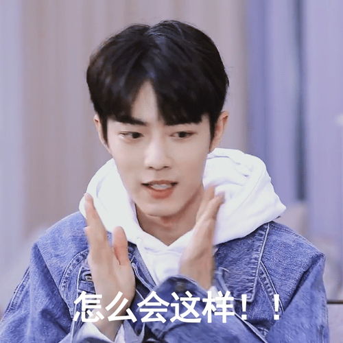 能分享肖战哥哥的表情包吗