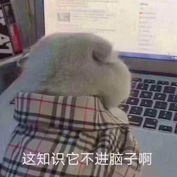 听说看完本文的考生全都考神附体超常发挥喜提高分