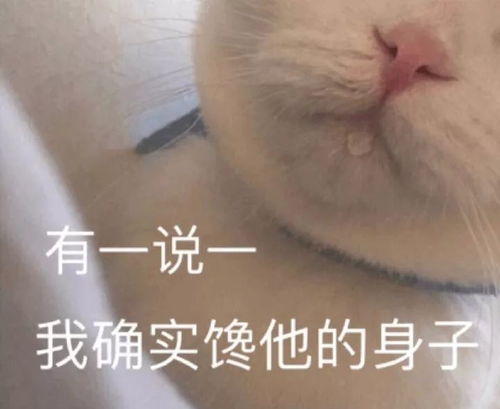 沙雕斗图表情包i你以为这样很好玩吗嗯