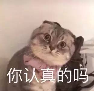 重庆好耍又涨知识的小众博物馆,你晓得几个