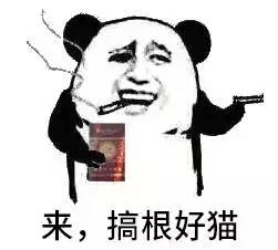 来一打搞根烟表情包