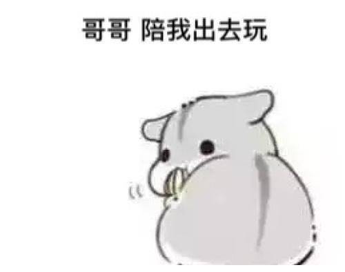 搞笑段子昨天食堂吃饭,两洗菜阿姨在吵架