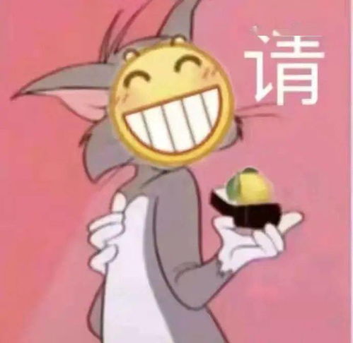 从来没见过一个瓜要这么澄清的宋智雅鸭子节目
