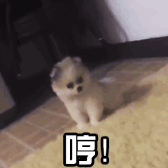 搞笑gif趣图孩子我有了,你负责不